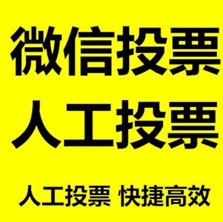湛江市投票活动拉票能被查出来吗？如何操作能不被发现？